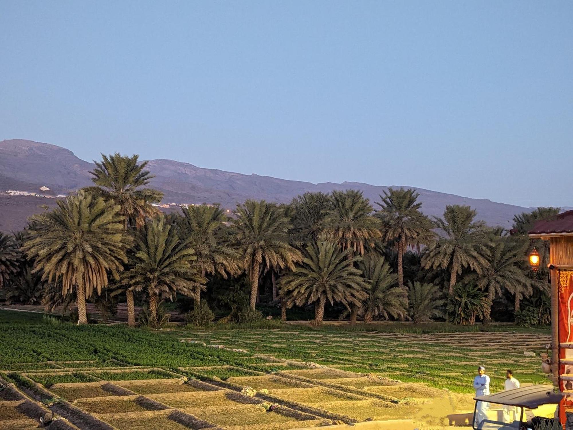 بيت نُزل السلام Bait Salam Inn Al Ḩamrāʼ Exterior foto